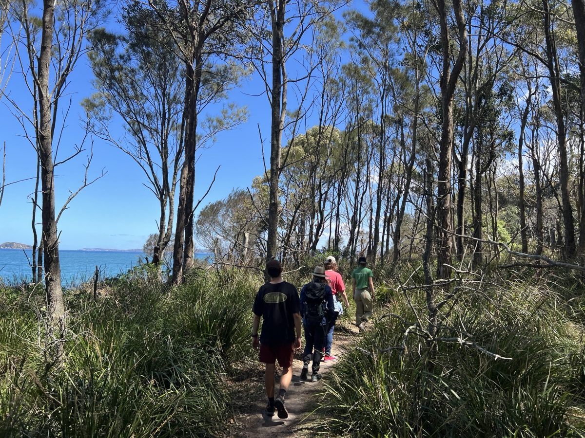 After working in the bush and a picnic lunch, Intrepid Landcare members go for a walk nearby to take photos and talk about the plants, fungi and bugs they see.