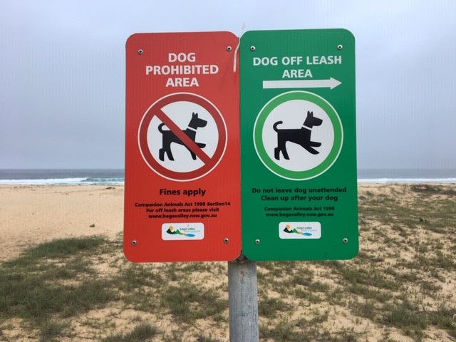 dog beach off leash 