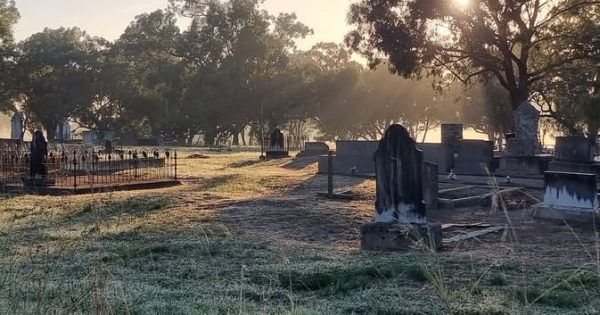 Small rural cemeteries of the South West Slopes unlikely havens for conservation