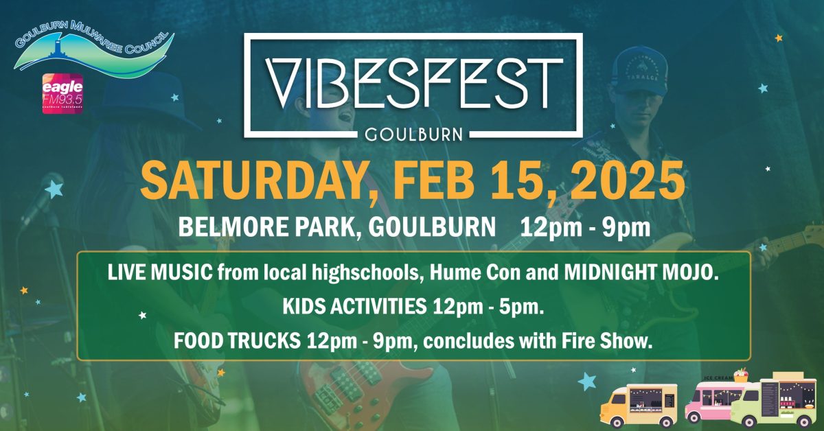 banner for the vibesfest event