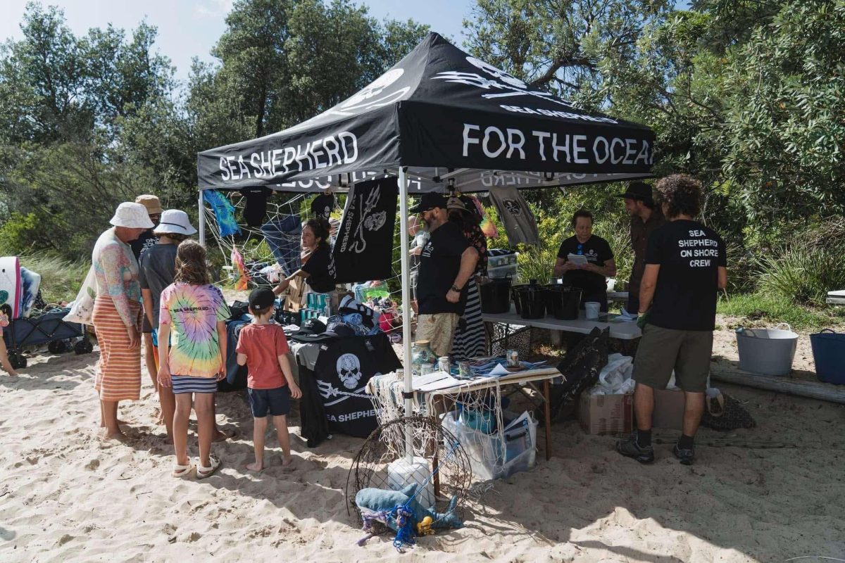 photo of a tent set up at the beach for the sea shephards