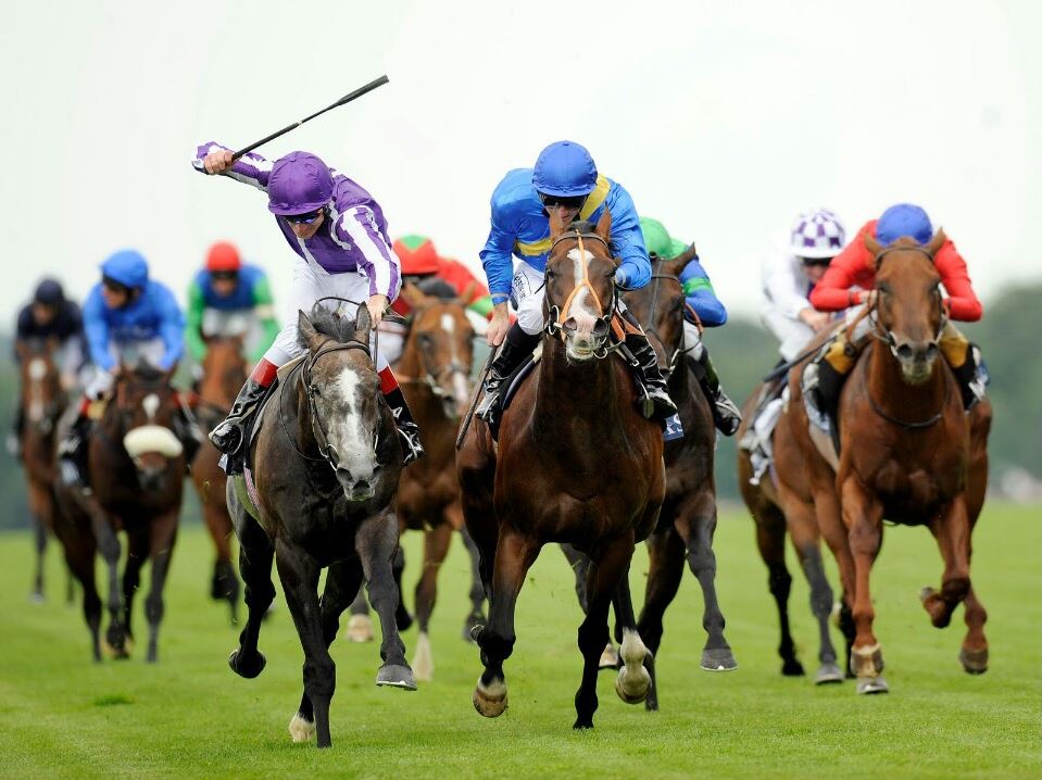 jockeys and horses riding in a race 