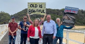 Global expert says Cuttagee Bridge design options don't uphold its heritage values