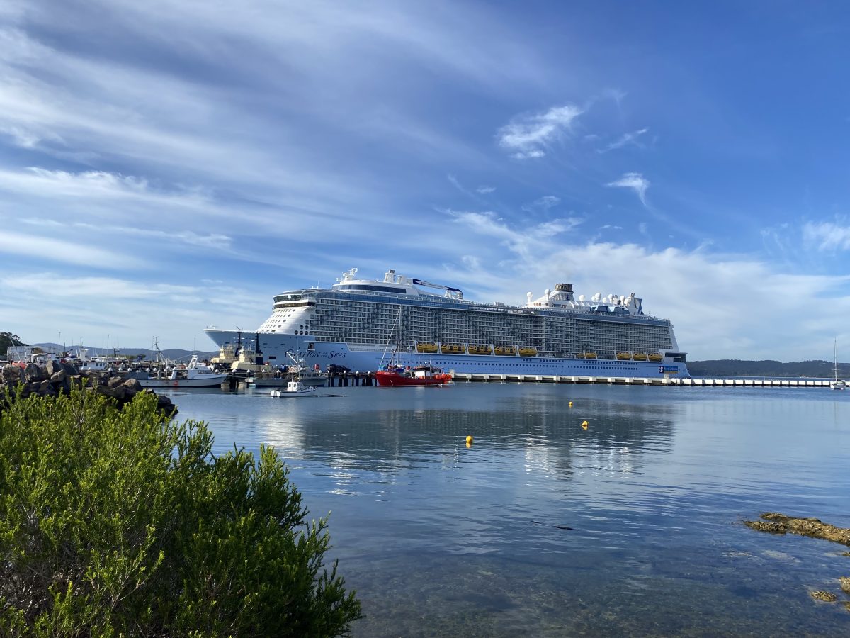 A cruise ship in water