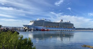 'Must-visit destination' Eden hosts record-breaking cruise ship