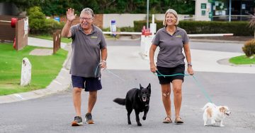 Bermagui holiday park goes to the dogs –and it pays off!