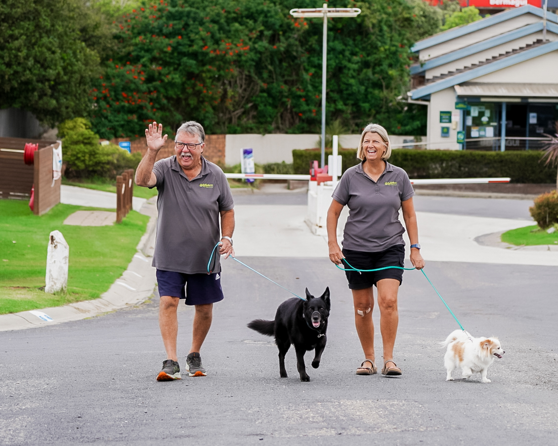 a man and a woman walking with dogs