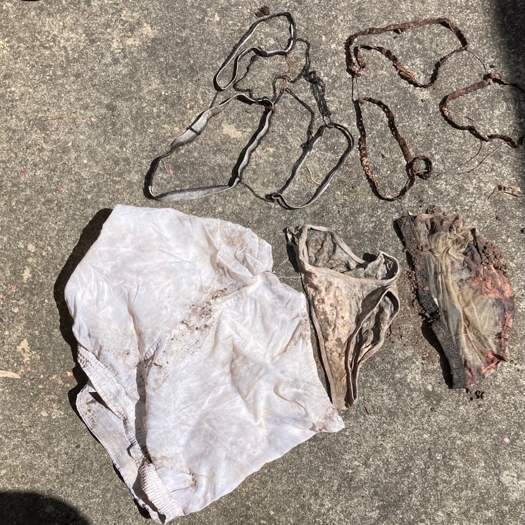 Three pairs of underpants showing vastly different outcomes from being buried for six months. Jane Suttle borrowed the idea from Upper Lachlan Landcare Grazing Group, which was studying another aspect of soil. 