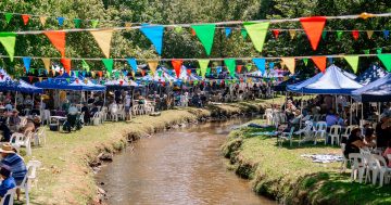 Tumbafest 2025: A weekend of music, wine, food and family fun in Tumbarumba