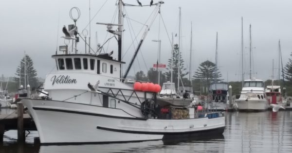 Bermagui loses part of its fishing history with loss of fishing vessel Volition