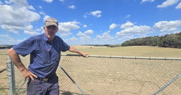 'How many solar farms are there going to be?': Concern new development will open floodgates