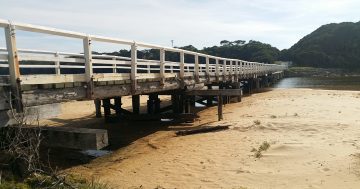 Bega Valley Shire Council returns fire over claims it 'backflipped' on Cuttagee Bridge consultation