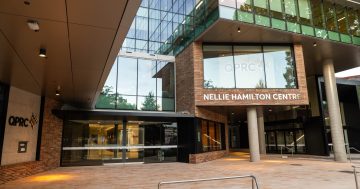 'Frenzied bidding', alleged inexact maps prompt council to launch auction investigation