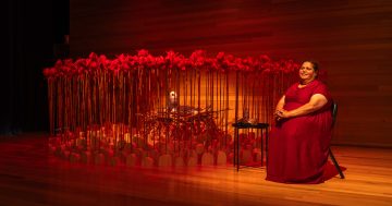 Cheryl Davison's spellbinding talk on artworks at Sculpture Bermagui was about so much more