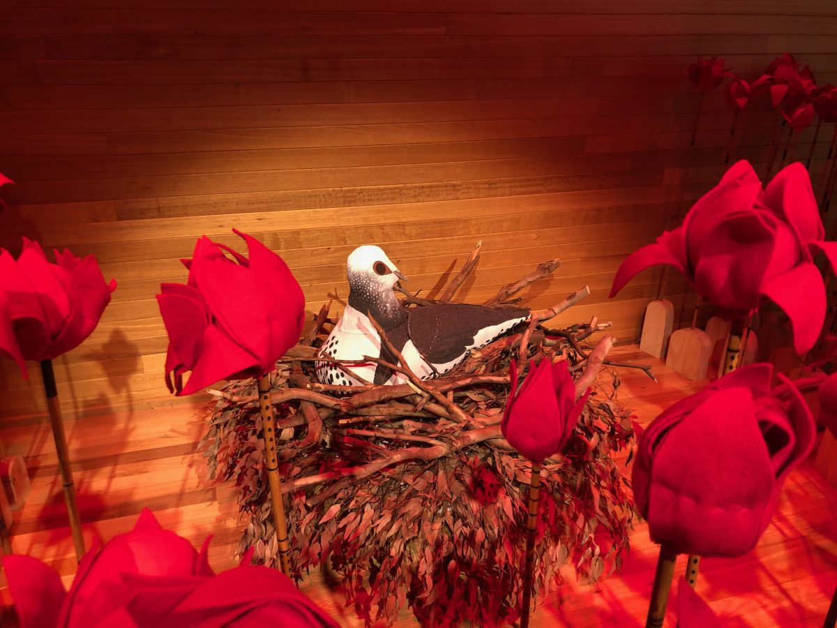 Detail from Cheryl Davison's installation that tells the story of Wonga the pigeon and how waratahs came to be red.