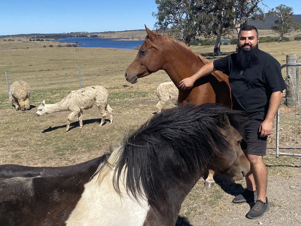 A man with horses and other animals at a farm 