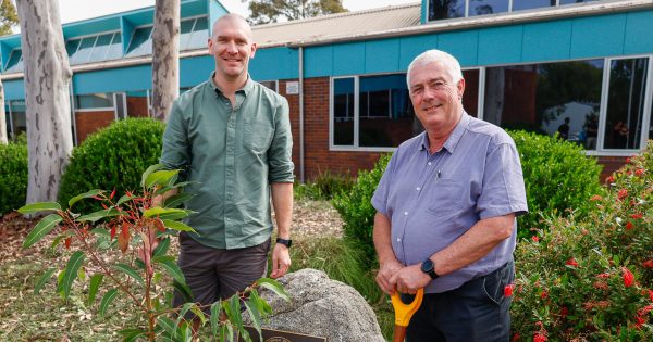 Eurobodalla Council marks five years since the end of the Black Summer bushfires