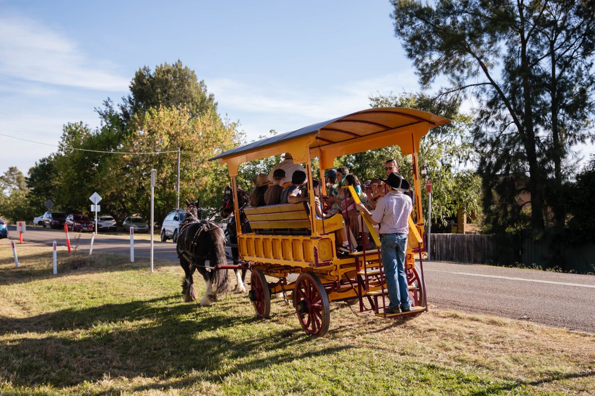 photo of a cart/carriage at the sutton county fari 