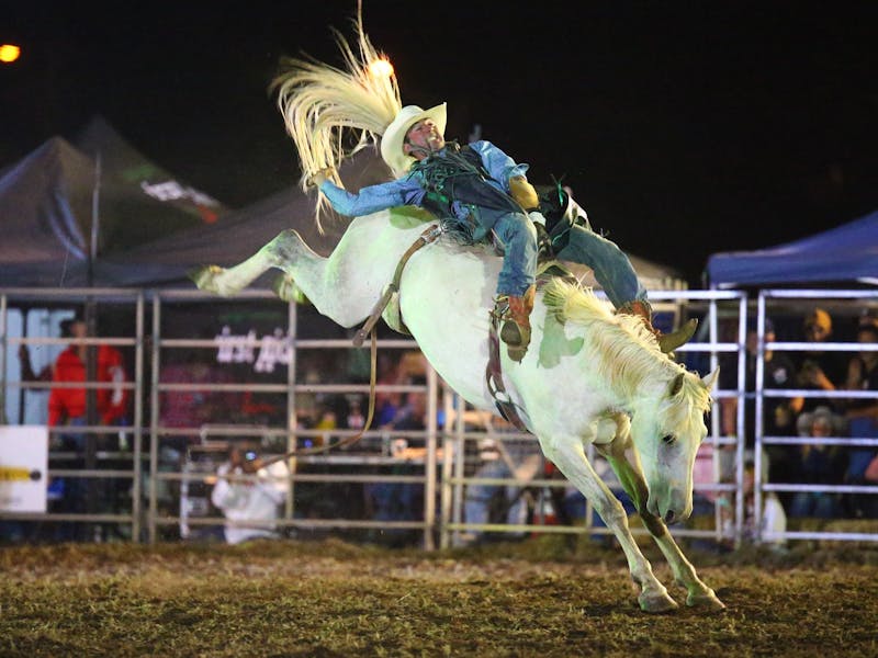 image of a rodeo rider at the Patches Asphalt Queanbeyan Rodeo