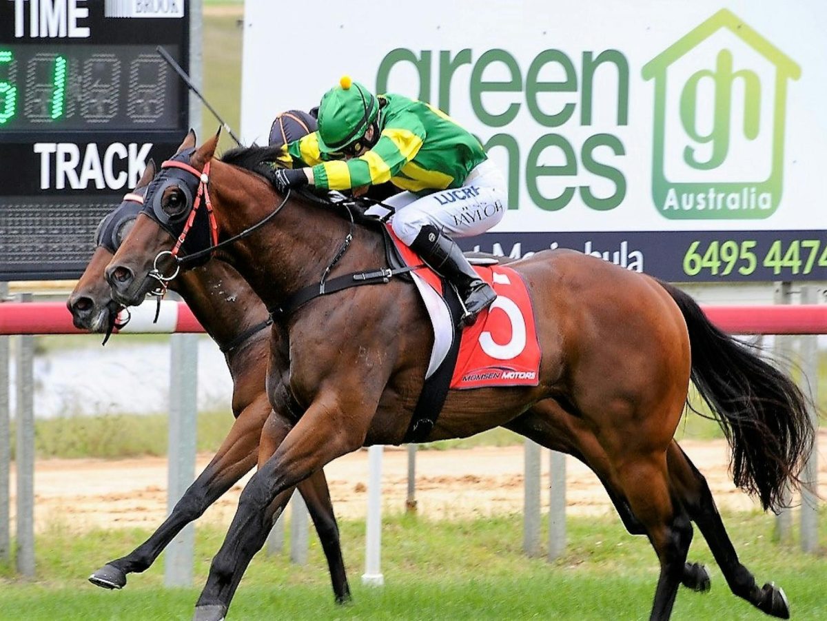 Bendigo Bank Pambula Cup Race Day