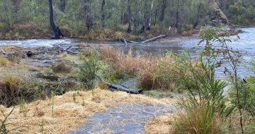 Snowy Hydro fined $60k after river, dam were polluted in mountains