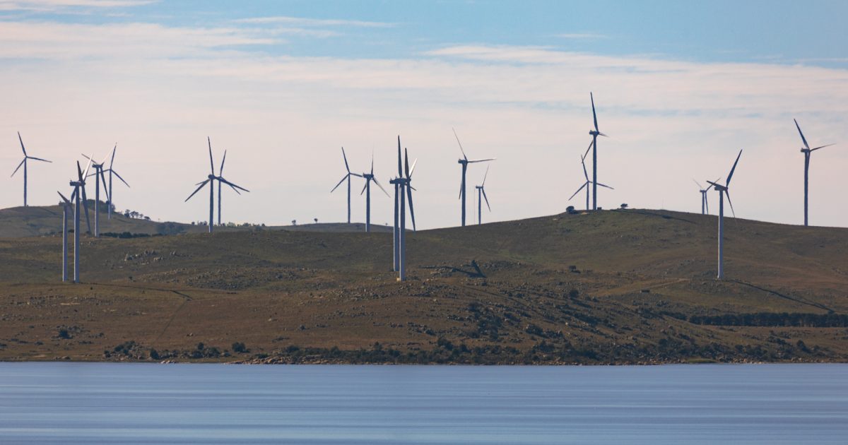 Adoption of renewables policy put on hold