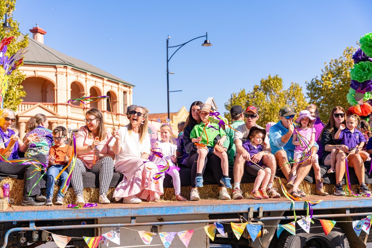 photo of the falling leaves festival