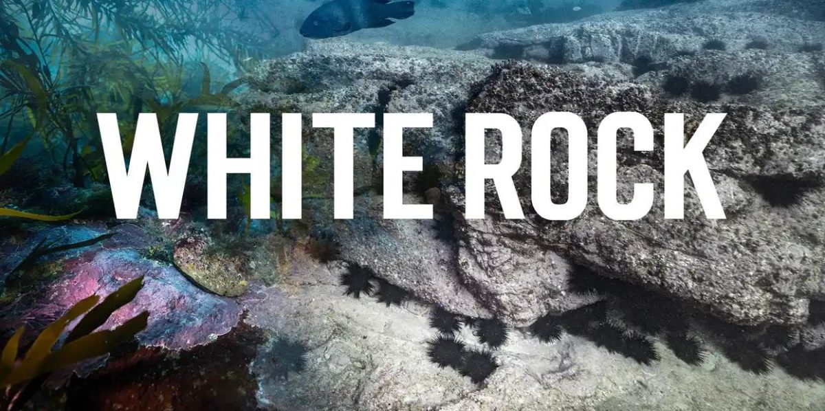 white rock doco