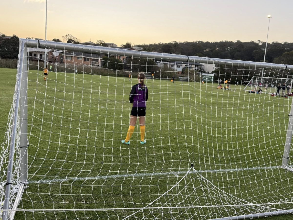 Soccer player standing in front of the net