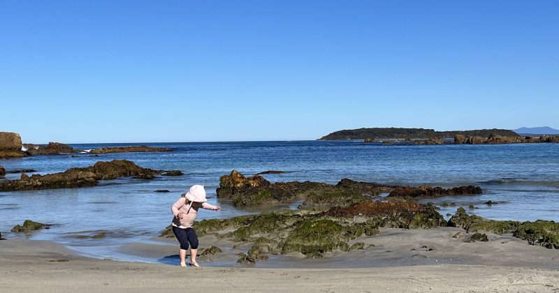 To spend or save? Coastal tourism a market worth investing in, says council