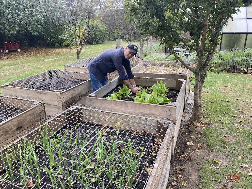 Evan Marler’s hands can sink effortlessly into the rich, friable soil in his elevated planter beds. His garlic, horseradish and saffron are well protected from the chooks, which are let out through an automatic door to roam and forage every afternoon.
