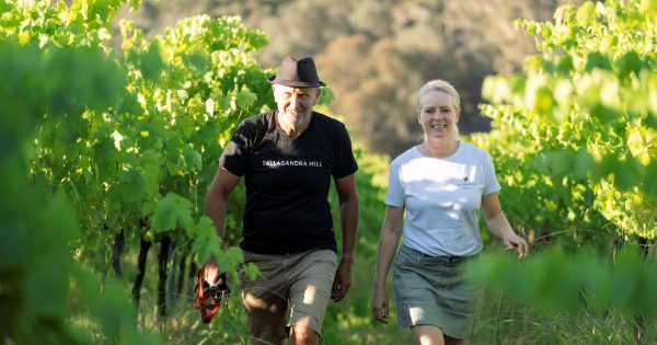 Five minutes with David Faulks, Tallagandra Hill Winery