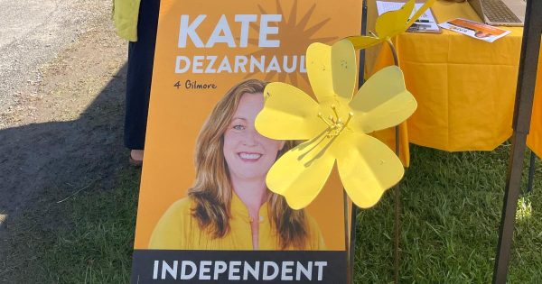 Gilmore independent's campaign lashes councils for potential unlawful removal of signs