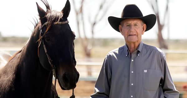 Silver and gold belt buckle stolen from 'world's oldest cowboy' in Cootamundra, police appeal for help