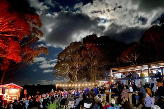photo for free live music a Tilba valley