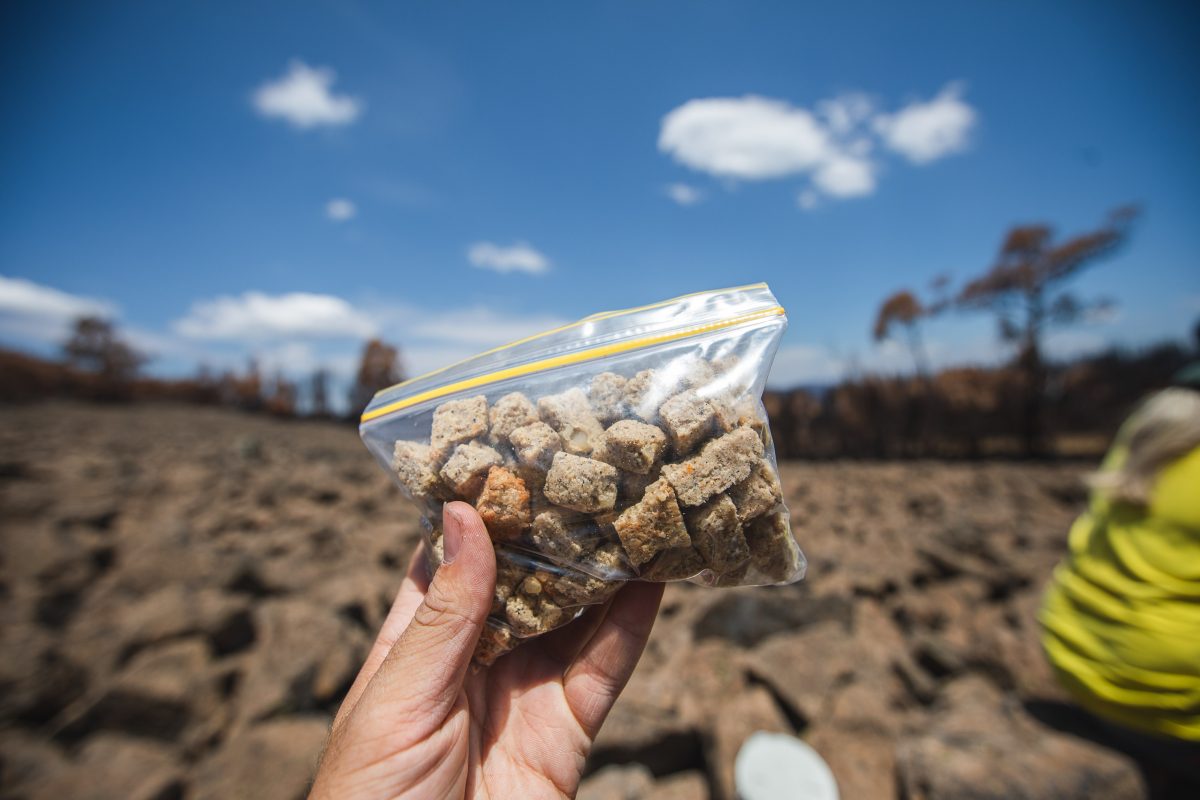 A bag with 'Boogong Bickies'
