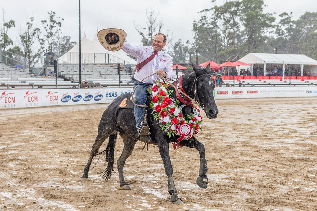 man on a horse