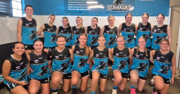 The Batemans Bay Seahawks have been admitted to the AFL Canberra Premier Division from 2026