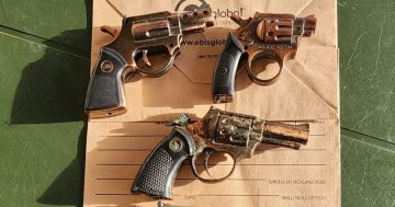 Bikie-busting police squad allegedly seize replica guns, drugs in raid near Batemans Bay