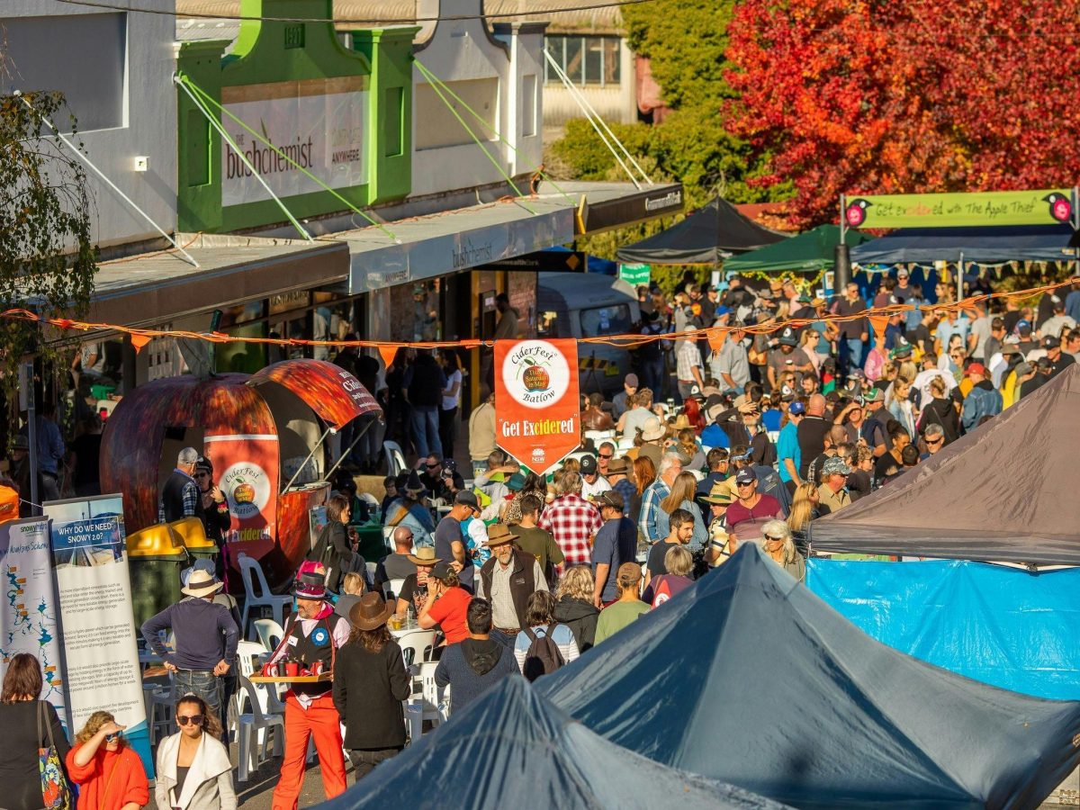 festival crowd