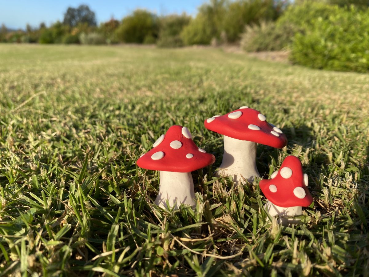 mushroom-inspired clay pieces