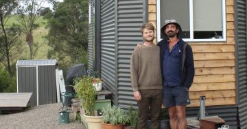 Bega Valley couple facing homelessness as council insists their tiny home on wheels needs a DA