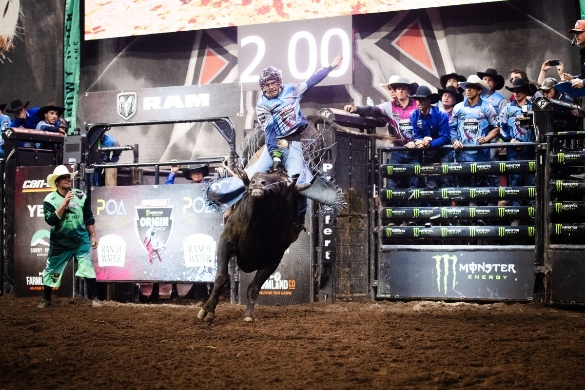 bull riding