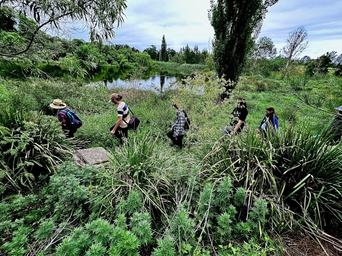 Bega social enterprise Grow the Future is growing young people's capacity and confidence by taking them outside of four walls.