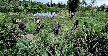 Growing young people's futures through growing produce