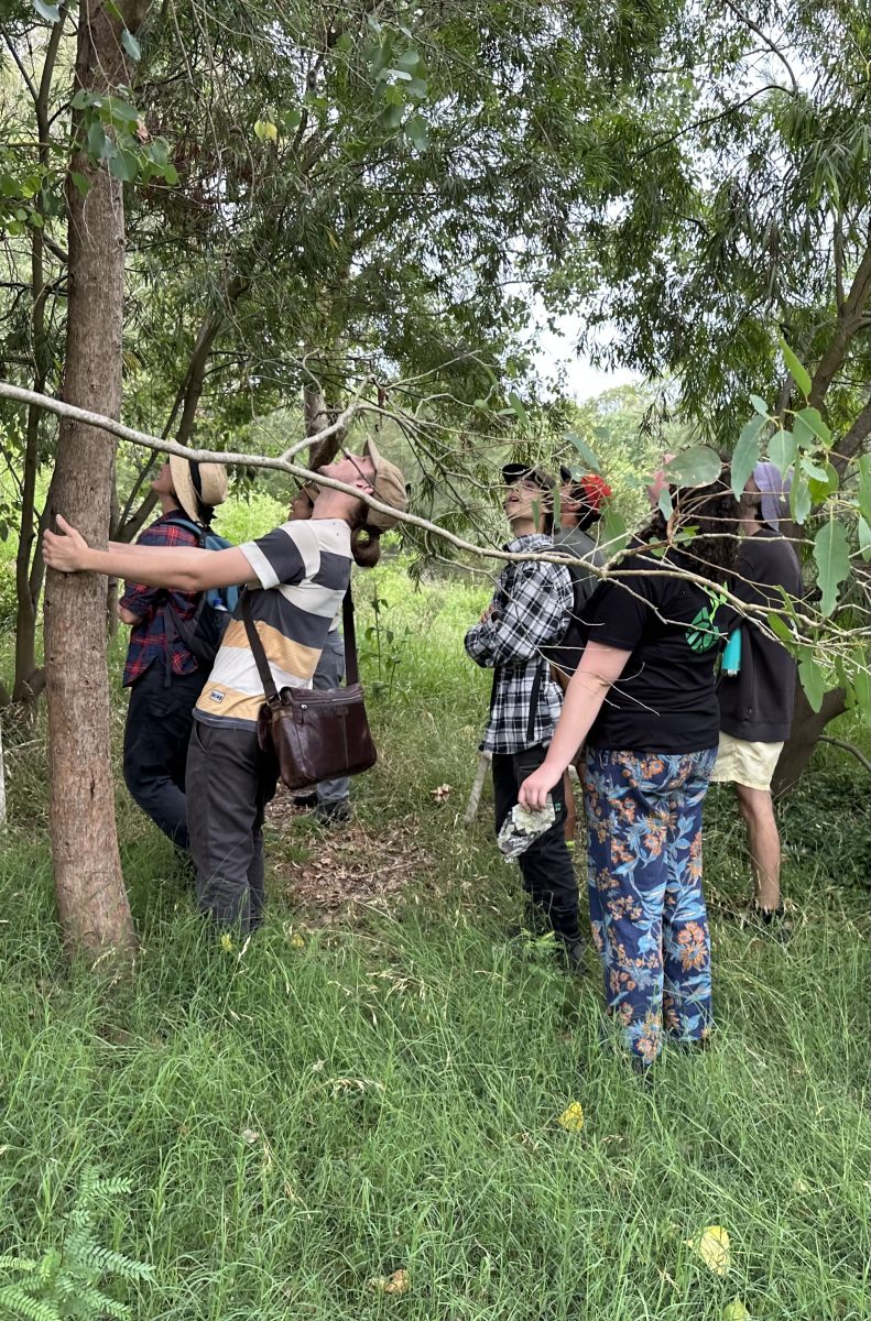 Grow the Future offers young people accredited courses in horticulture, ecosystem management and business skills.