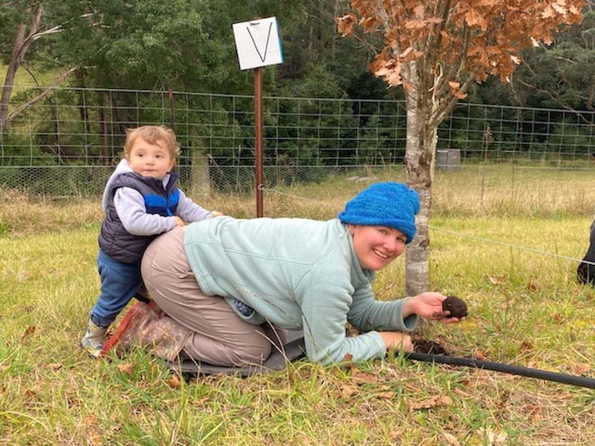 Truffle hunting is one of the family-friendly outdoor activities being offered as part of the Fungi Feastival.