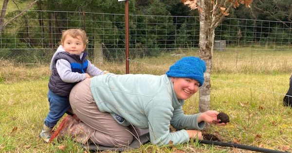 Get to know fungi from paddock to plate at the Fungi Feastival