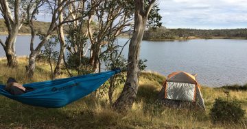 Camping in national parks to become more expensive under proposed fee structure