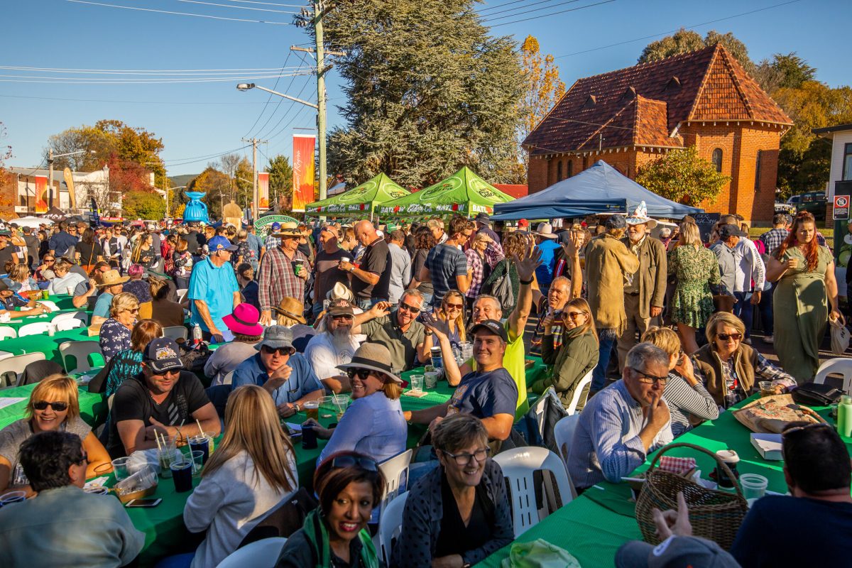 festival crowd